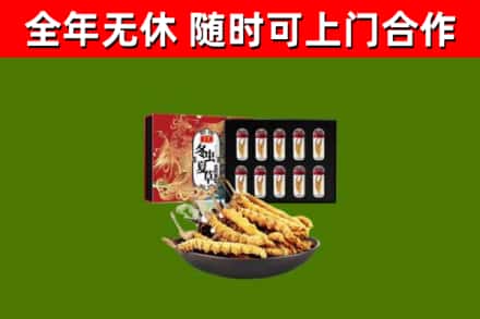 海陵区回收冬虫夏草价格